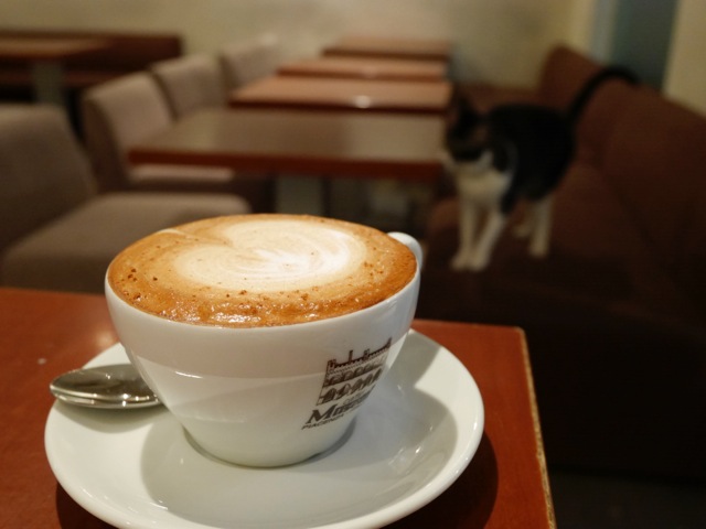猫とカフェ