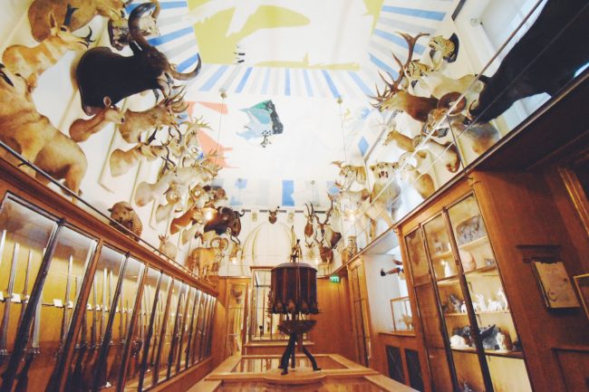パリで狩猟の歴史を学ぶ—「狩猟自然博物館」