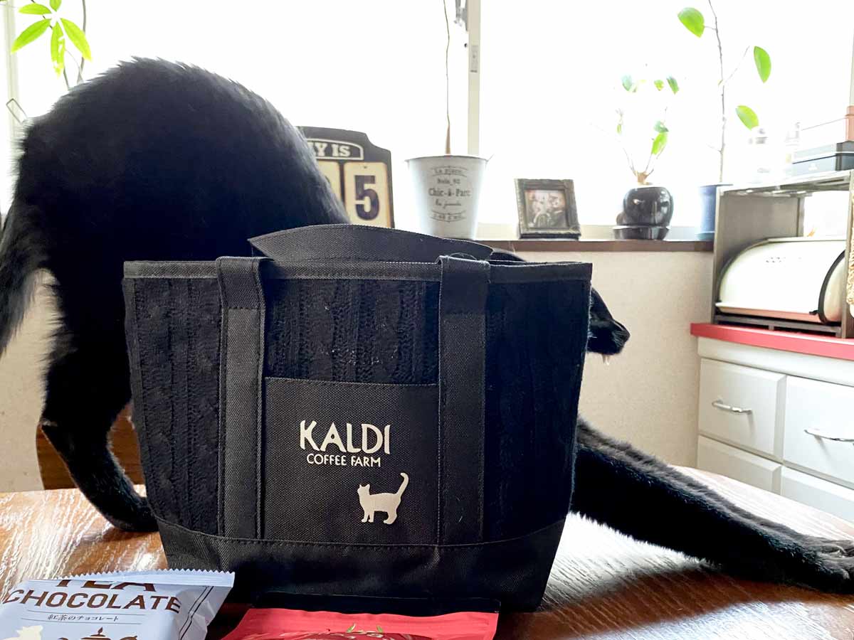 カルディの猫の日バッグ