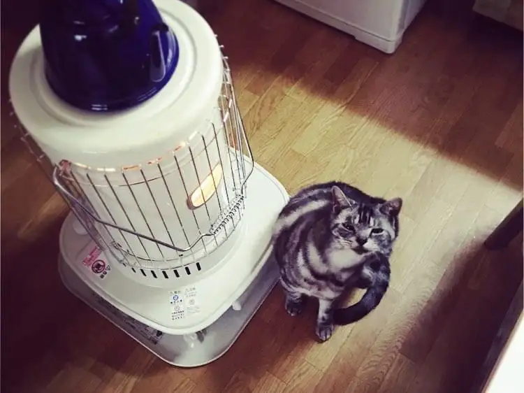 ありし日の初代ハウル。